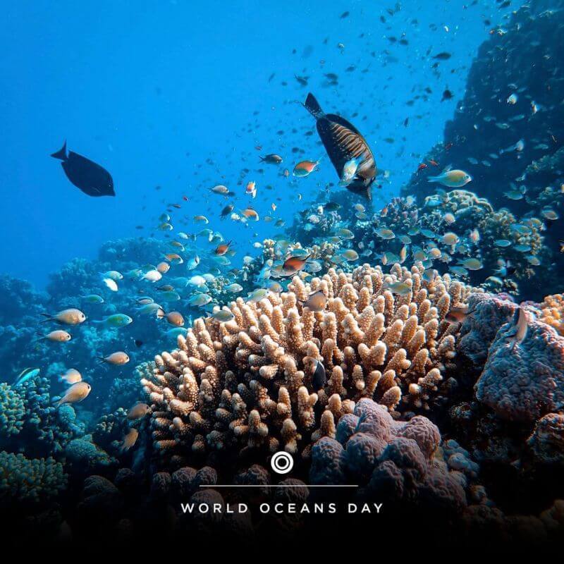 World Oceans Day 2023